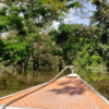 Expedição Amazônia - Image 6