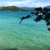 Trilha: Ilha Anchieta- Ubatuba - SP [bate e volta] - Image 4