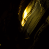 PETAR - A capital das cavernas - Feriados - Image 15