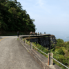 Estrada Velha de Santos - Caminhos do Mar - SP - Image 2
