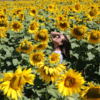 Holambra: A cidade das flores, em cores, sensações e sabores - Image 11