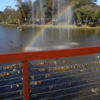 Holambra: A cidade das flores, em cores, sensações e sabores - Image 12