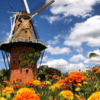 Holambra: A cidade das flores, em cores, sensações e sabores - Image 3