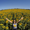 Holambra: A cidade das flores, em cores, sensações e sabores - Image 4