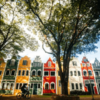Holambra: A cidade das flores, em cores, sensações e sabores - Image 9