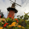 Holambra: A cidade das flores, em cores, sensações e sabores - Image 10