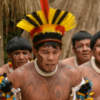 Intercâmbio Cultural KUIKUROS - Índios do Alto Xingu - Image 11