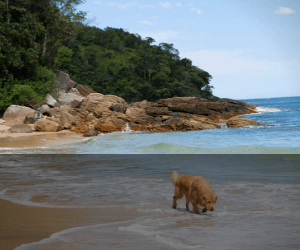 Trilha das 7 Praias - Um dos melhores passeio de Ubatuba