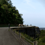Estrada Velha de Santos - Caminhos do Mar - SP