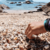 Ubatuba: Português à Prumirim + Itamambuca- Praias, ilha, cachoeira e trilha. - Image 2
